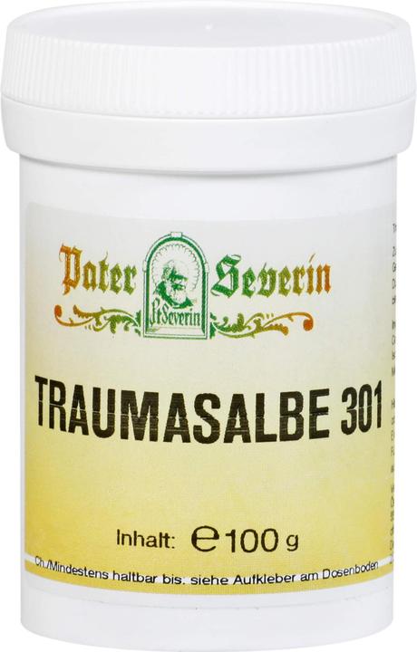 Image du produit Hecht Pharma Pommade traumatique 301 100g, 100 g de pommade (Lotion pour le corps)