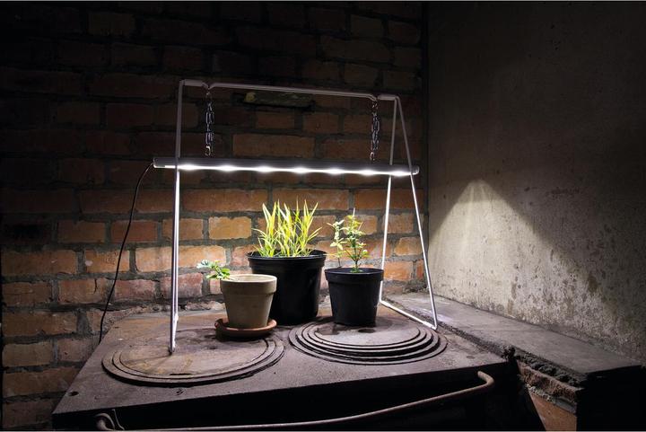 Immagine prodotto Venso Growlight Duo (LED, 245 V)