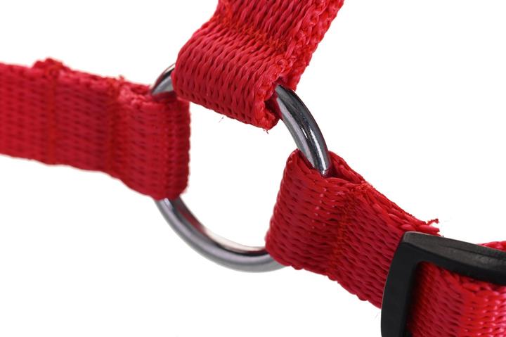 Immagine prodotto Red Dingo DINGO Easy Walk - Pettorina per cani - 42-64 cm (Cane, Generale)