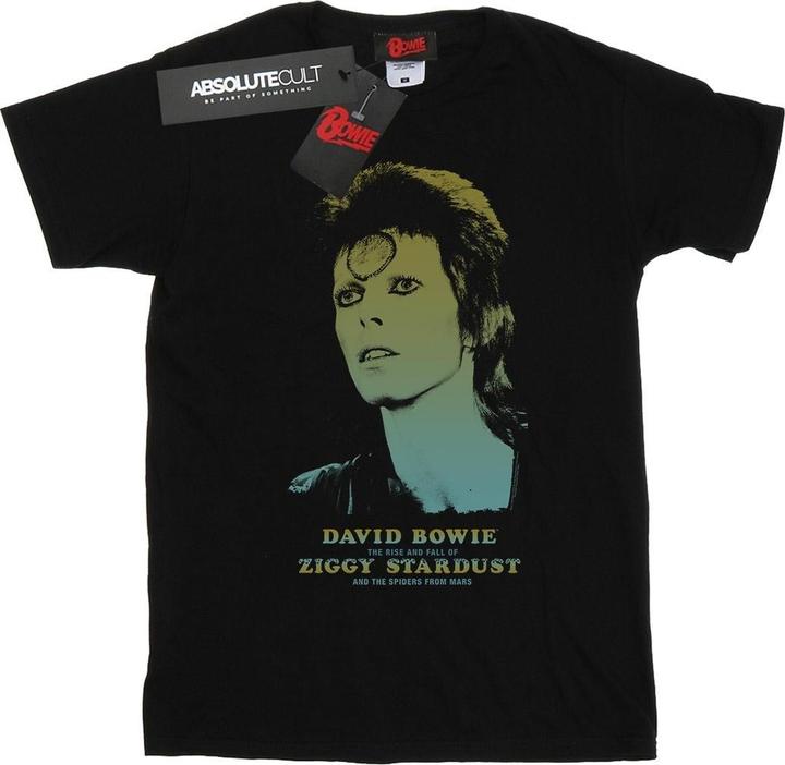 David Bowie Ziggy Gradient TShirt (XXL)