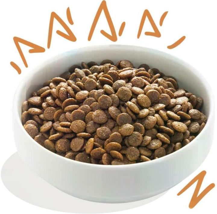 Produktbild Edgard & Cooper Freilaufhuhn und Mango (Adult, 1 Stk., 7000 g)
