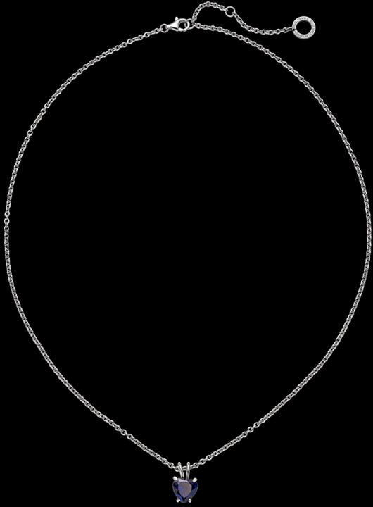 Produktbild Paul Hewitt PH-JE-0147 (Stahl, 45 - 50 cm)