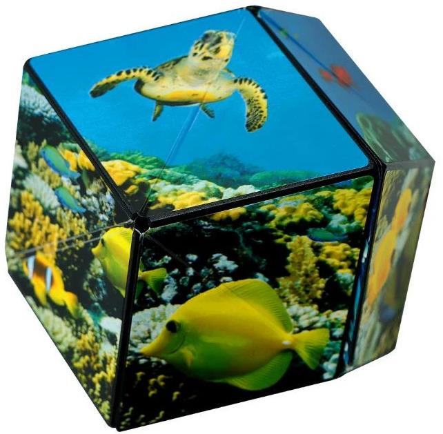 Image du produit Shashibo Cube Undersea (Multilingue)
