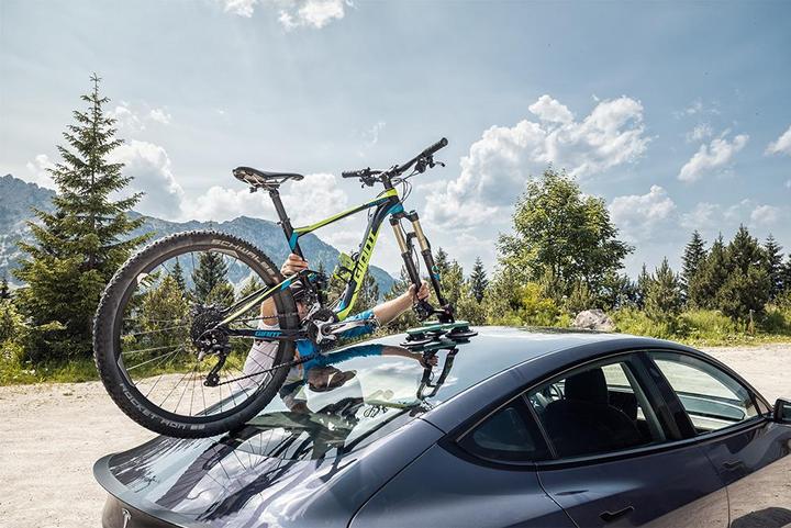 Actual product image TreeFrog Bike Rack Pro 1
