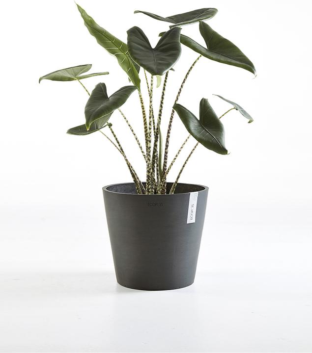 Produktbild Ecopots Amsterdam (50 cm)