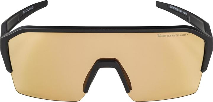 Image du produit ALPINA SPORTS Ram HR Q-Lite V (Noir, Miroir Argent)