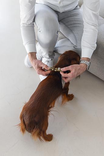 Actual product image Designed by Lotte Velura (XXS, XS, S, M, L, Dog, General)