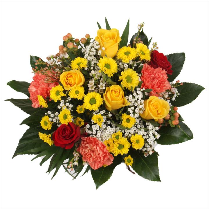 Floramall Lächeln der Farben (Schnittblumen)