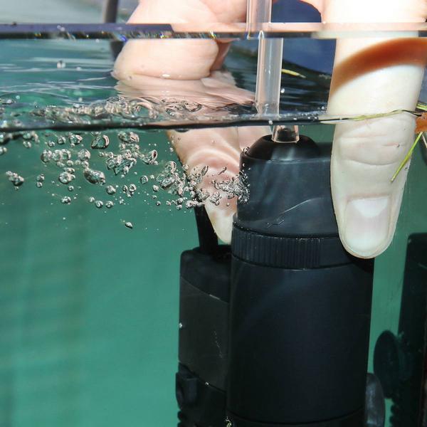 Produktbild JBL Aquaristik und Terraristik Filtermaterial (Innenfilter)