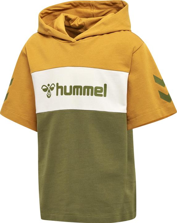 hummel hmlCLOUD HOODIE S/S