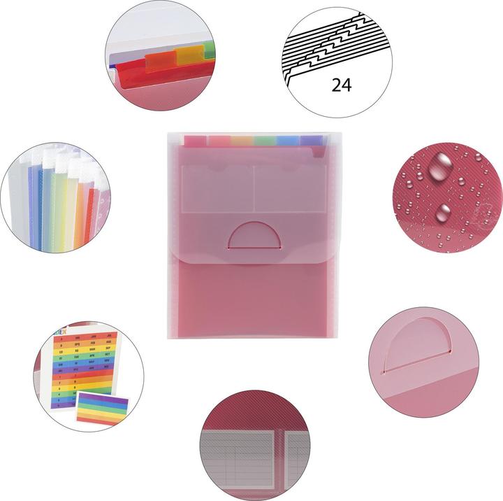 Actual product image Exacompta Crystal fan folder A4 vertical (A4, 1 x)
