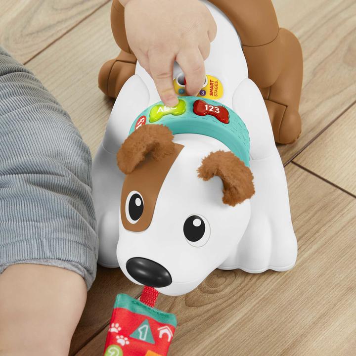 Actual product image Fisher-Price - 123 Crawl With Me Puppy-DU