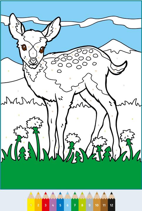 Produktbild Ravensburger CreArt Malen nach Zahlen ab 5: Süsse Tiere, Malbuch, 48 Motive
