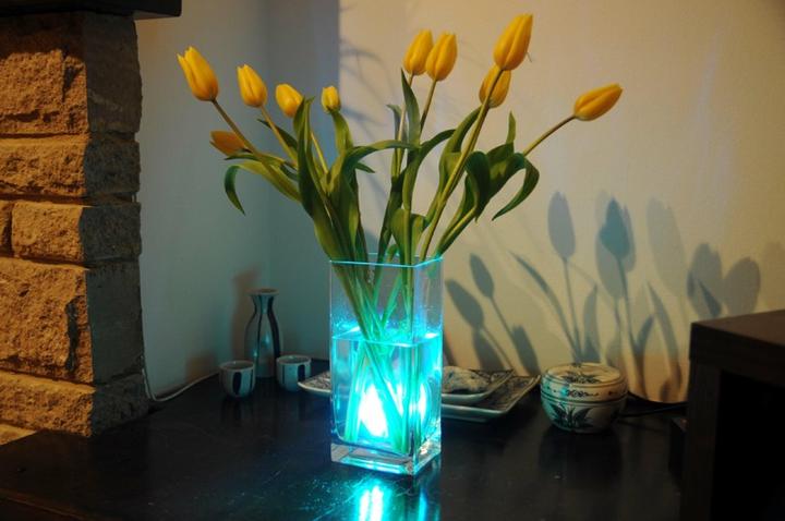 Actual product image Thumbs Up Underwater light