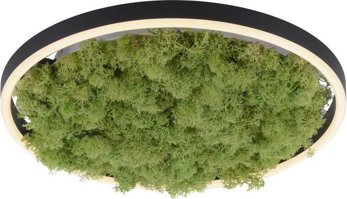 Actual product image Leuchten Direkt Green Ritus (2650 lm)