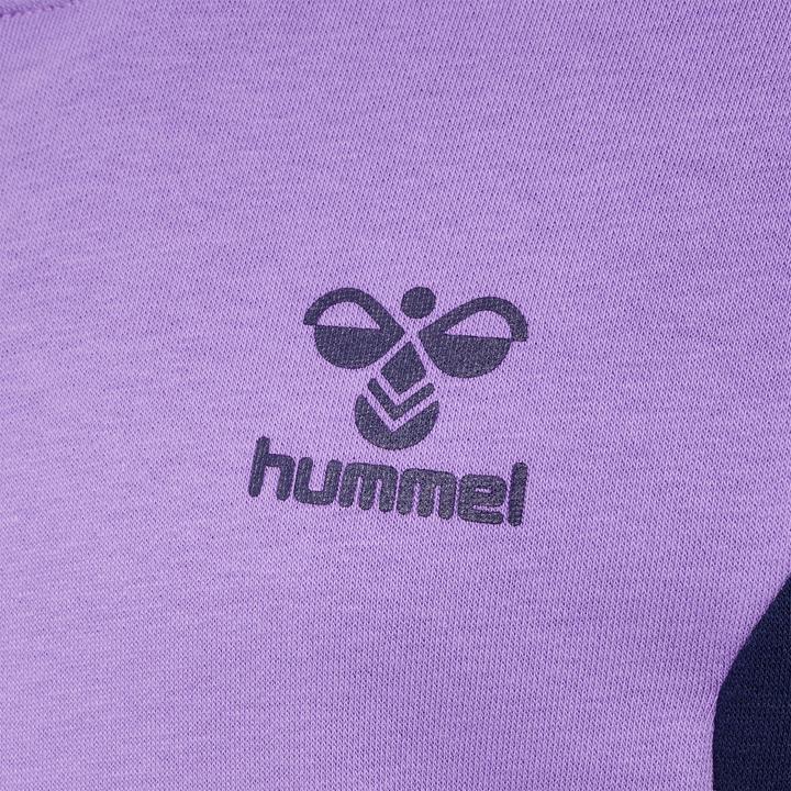 Image du produit hummel Hmlstaltic Cotton Hoodie Kids (164)