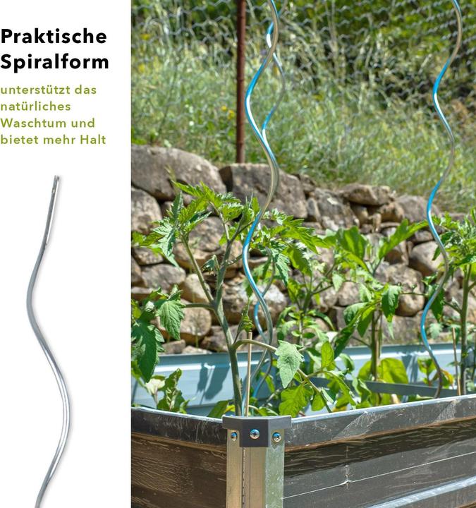 Actual product image Karat Tomatenspiralstäbe (0.60 cm, 0.60 cm)