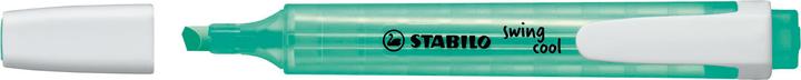 Immagine prodotto STABILO evidenziatore swing cool (Turchese, 1 mm, 1 x)