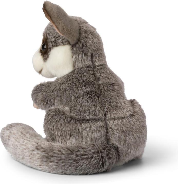 Immagine prodotto WWF Bush baby sitting (25 cm)