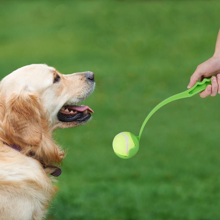 Actual product image Relaxdays Ball slingshot (Ball toy dog)