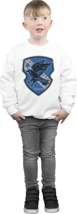 Immagine prodotto Ravenclaw Crest Flat Felpa Ragazzi (140, 146)