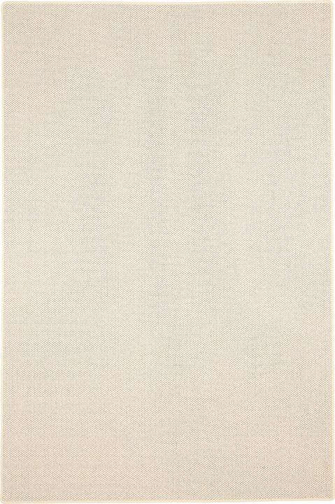 Produktbild Bentzon Natur Flachgewebe Teppich (80 x 200 cm)