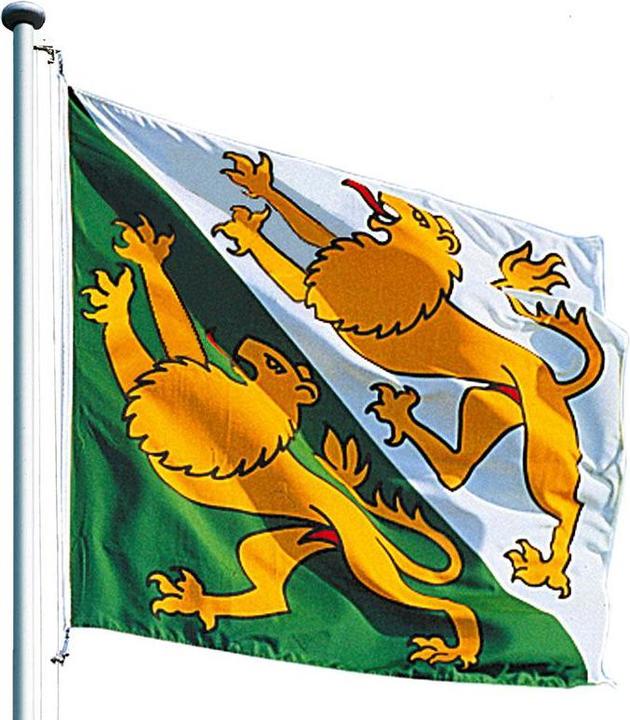 Actual product image Keller Fahnen Kantonsfahne klassisch Thurgau Polyester 150x150 cm