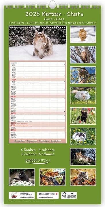 Image du produit Calendrier Chats 22 x 45 cm (22 x 45 cm)