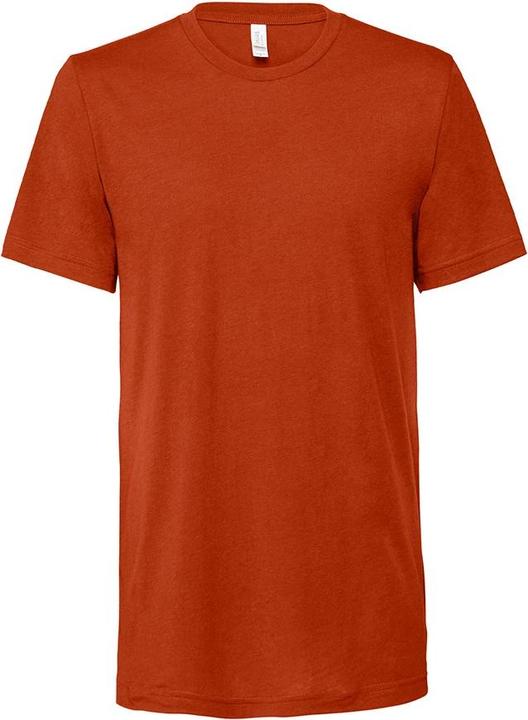 Bella Canvas Erwachsene TriBlend TShirt