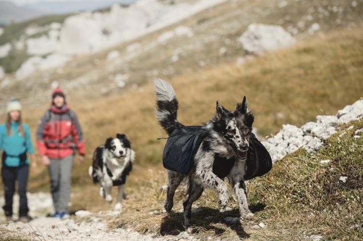 Actual product image Hurtta Backpack incl. Active harness (M, Dog vest)
