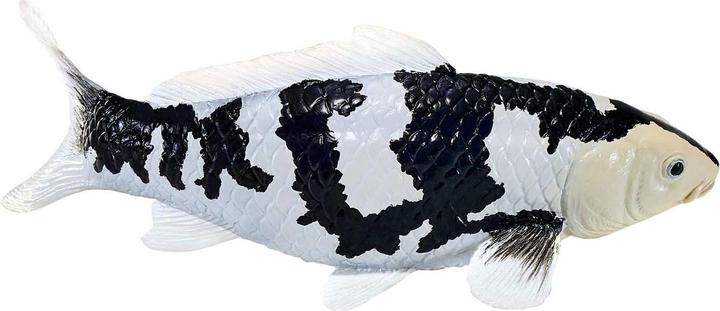 Immagine prodotto Mojo Sealife Koi-Karpfen – Shiro Utsuri Koi – 381102