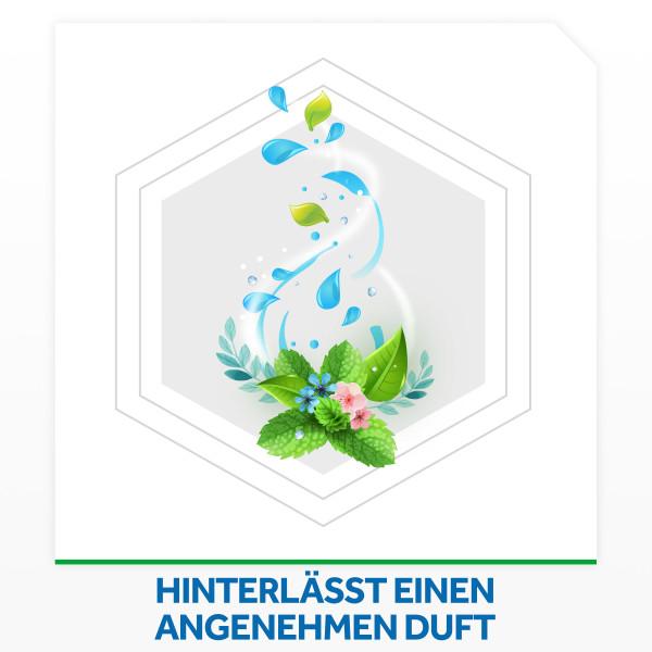 Actual product image Raid Insect spray Spray (400 ml)