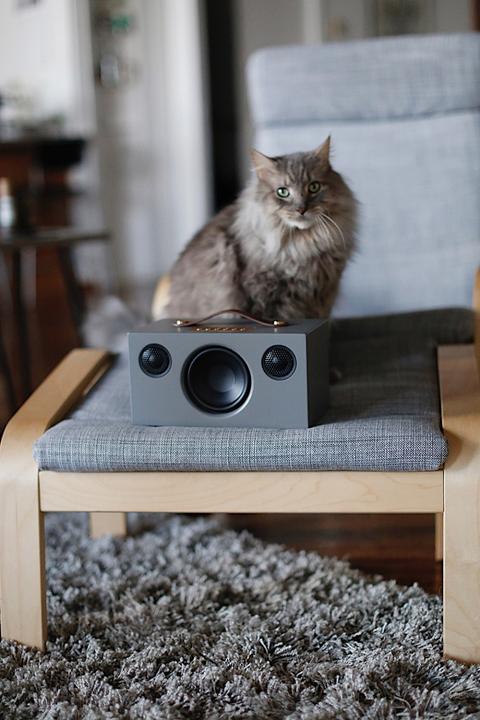 Image du produit Audio Pro Haut-parleur Bluetooth (30 h, Fonctionnement sur secteur)