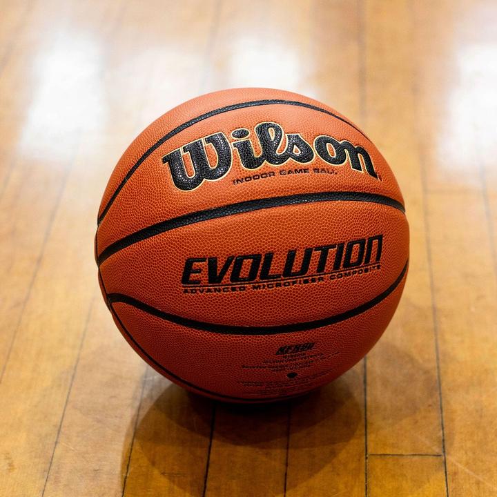 Actual product image Wilson Evolution Game Ball (7)