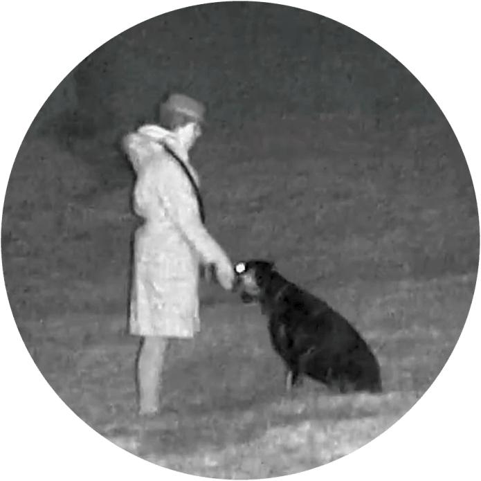 Produktbild Minox NVD 650