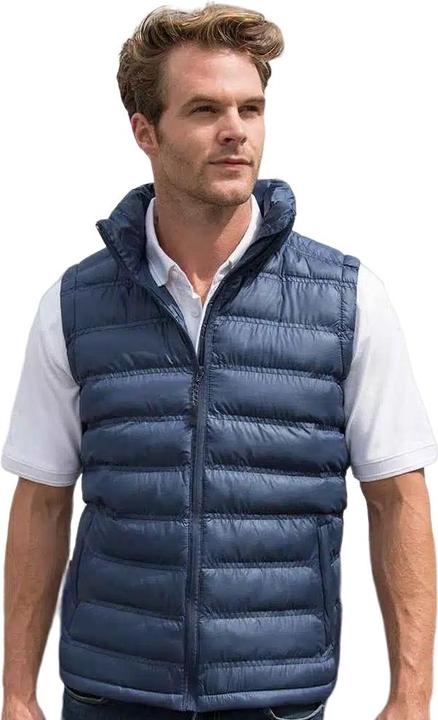 Image du produit Regatta Gilet matelassé Urban Ice Bird pour homme (M)