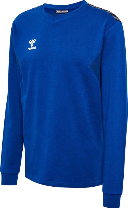 hummel Hmlauthentic Co Training Sweat