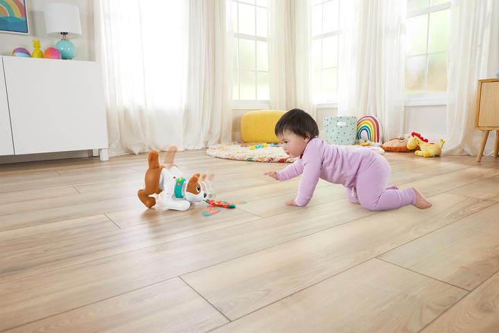 Actual product image Fisher-Price - 123 Crawl With Me Puppy-DU