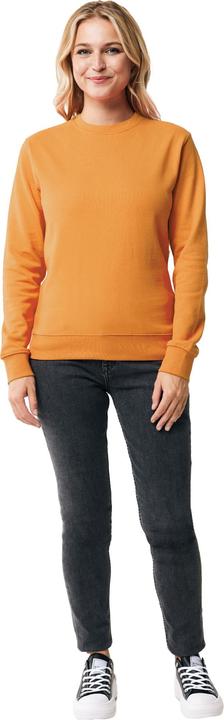 Image du produit Universal Textiles - Sweat ZION - Adulte (XXS)