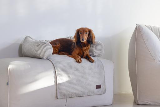 Produktbild Designed by Lotte Ribbed (Hund)