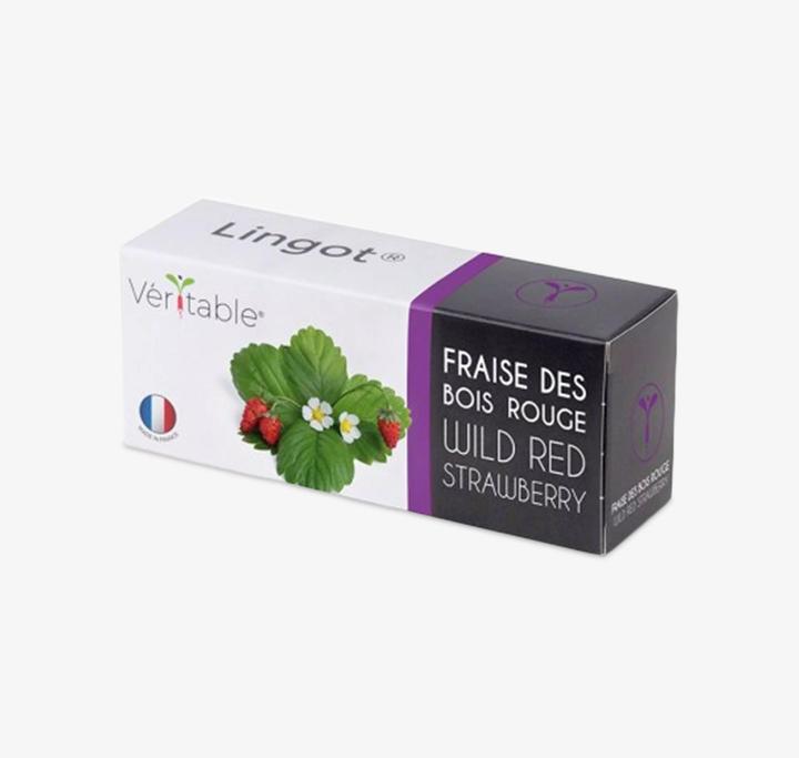 Image du produit Véritable Lingot Fraise des bois rouge BIO (Graines de fruits)