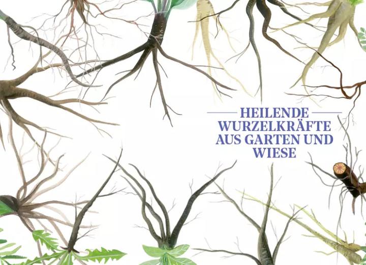 Image du produit Die Kraft der Wurzeln (Allemand, Le berceau de Miriam, 2020)