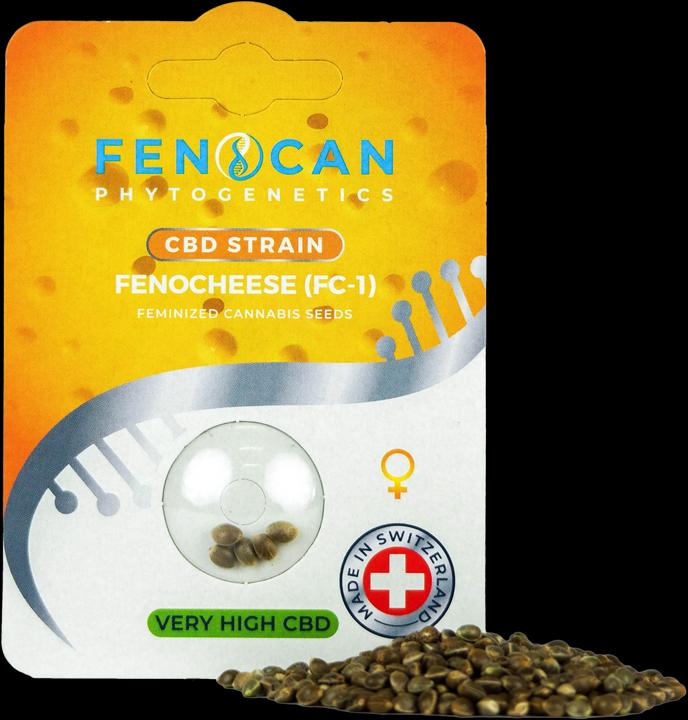 Actual product image Fenocan Fenocheese (3 Samen) (Seedlings)