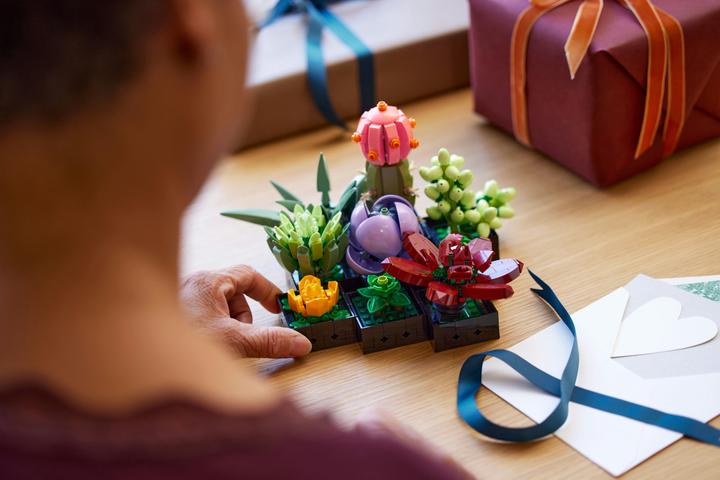 Actual product image LEGO Succulents (10309, LEGO Botanical, LEGO Rare Sets)
