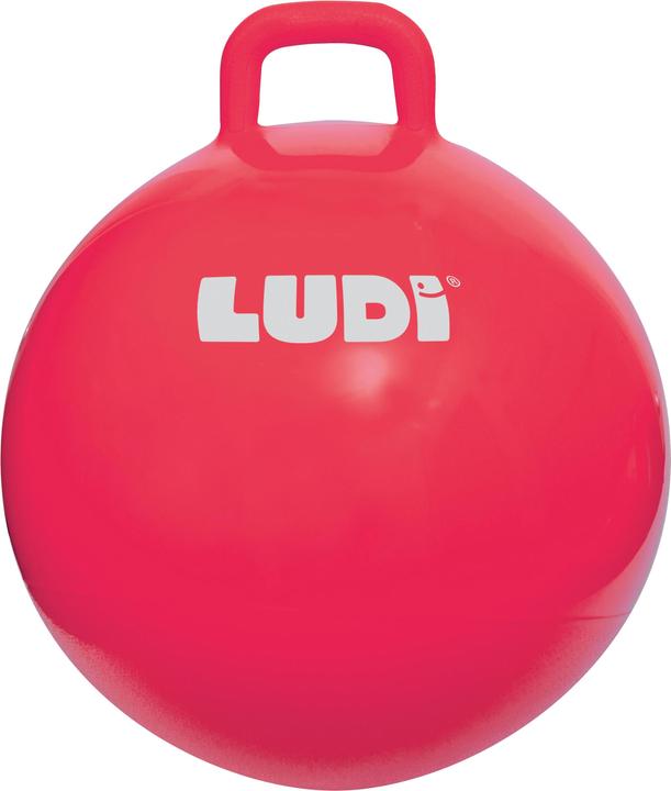 LUDI Tramoggia per lo spazio - Rosso - LU90101
