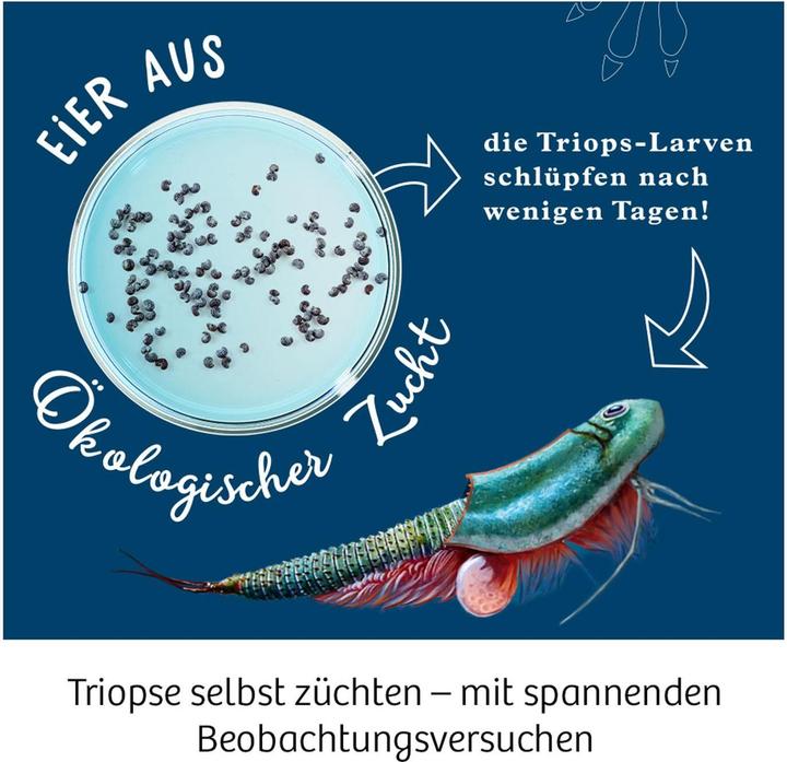 Actual product image Kosmos Triops - Life from primeval times