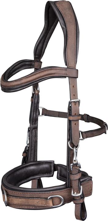 Waldhausen Lederkappzaum Anatomic
