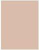 Produktbild L'Oréal Paris Infaillible (145 Rose Beige)
