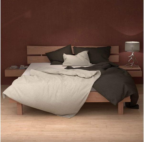 Immagine prodotto Lotus Bettwaren Biancheria da letto biancheria uni (Copripiumino, 160 x 210 cm)