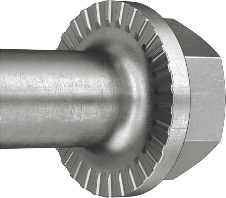 Actual product image Fischer 543576 (20 pcs.)